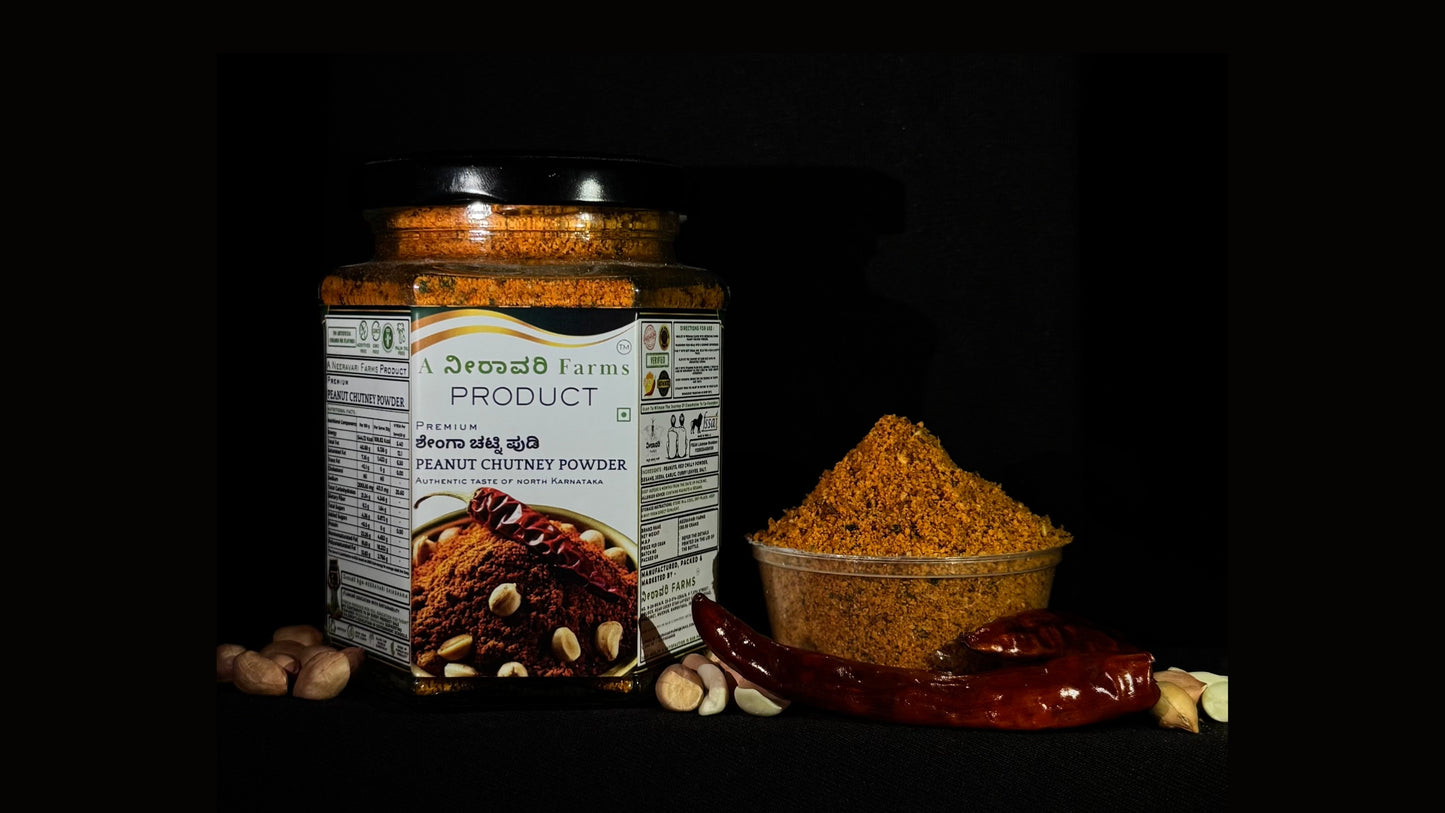PEANUT CHUTNEY POWDER